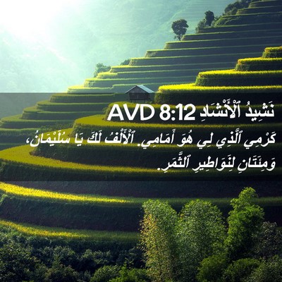 Picture 02 - نَشِيدُ ٱلْأَنْشَادِ 8:12 AVD - كَرْمِي ٱلَّذِي لِي هُوَ - Bible Verse Picture
