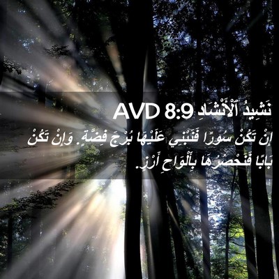 Picture 02 - نَشِيدُ ٱلْأَنْشَادِ 8:9 AVD - إِنْ تَكُنْ سُورًا - Bible Verse Picture