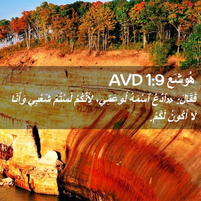Picture 02 - هُوشَع 1:9 AVD - فَقَالَ: «ٱدْعُ ٱسْمَهُ - Bible Verse Picture