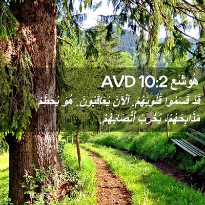 Picture 02 - هُوشَع 10:2 AVD - قَدْ قَسَمُوا قُلُوبَهُمْ. - Bible Verse Picture