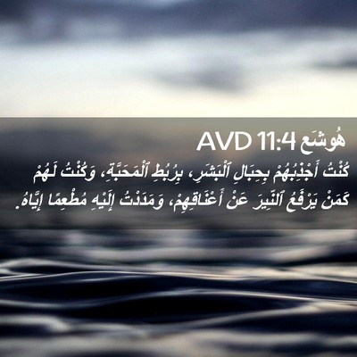 Picture 02 - هُوشَع 11:4 AVD - كُنْتُ أَجْذِبُهُمْ - Bible Verse Picture