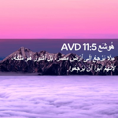 Picture 02 - هُوشَع 11:5 AVD - «لَا يَرْجِعُ إِلَى أَرْضِ - Bible Verse Picture
