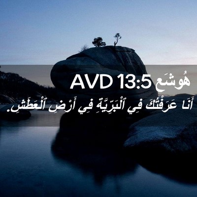 Picture 02 - هُوشَع 13:5 AVD - أَنَا عَرَفْتُكَ فِي - Bible Verse Picture
