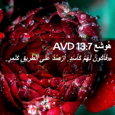 Picture 02 - هُوشَع 13:7 AVD - «فَأَكُونُ لَهُمْ - Bible Verse Picture