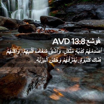 Picture 02 - هُوشَع 13:8 AVD - أَصْدِمُهُمْ كَدُبَّةٍ - Bible Verse Picture