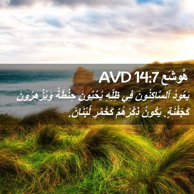 Picture 02 - هُوشَع 14:7 AVD - يَعُودُ ٱلسَّاكِنُونَ فِي - Bible Verse Picture