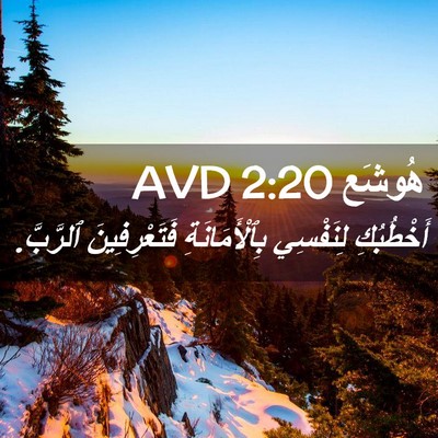 Picture 02 - هُوشَع 2:20 AVD - أَخْطُبُكِ لِنَفْسِي - Bible Verse Picture