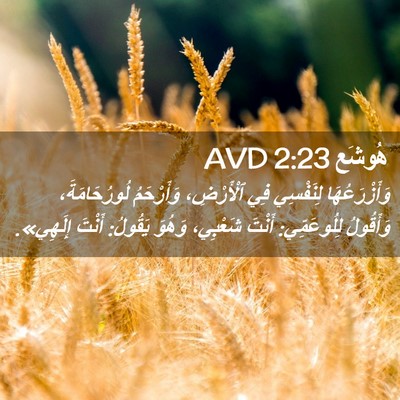 Picture 02 - هُوشَع 2:23 AVD - وَأَزْرَعُهَا لِنَفْسِي - Bible Verse Picture