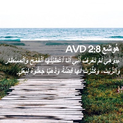 Picture 02 - هُوشَع 2:8 AVD - «وَهِيَ لَمْ تَعْرِفْ - Bible Verse Picture