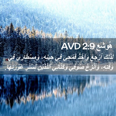 Picture 02 - هُوشَع 2:9 AVD - لِذَلِكَ أَرْجِعُ وَآخُذُ - Bible Verse Picture