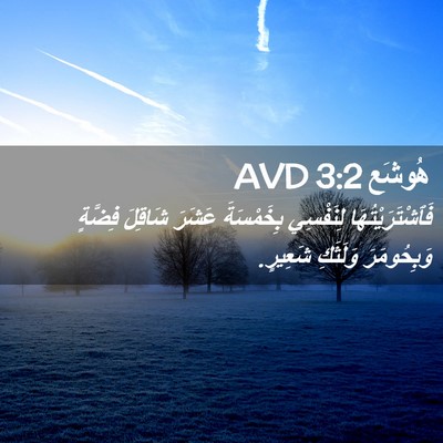 Picture 02 - هُوشَع 3:2 AVD - فَٱشْتَرَيْتُهَا - Bible Verse Picture