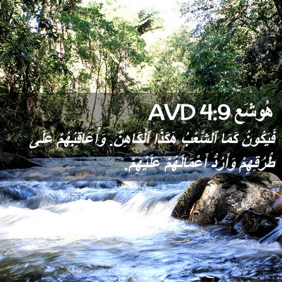 Picture 02 - هُوشَع 4:9 AVD - فَيَكُونُ كَمَا ٱلشَّعْبُ - Bible Verse Picture