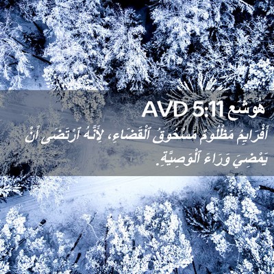 Picture 02 - هُوشَع 5:11 AVD - أَفْرَايِمُ مَظْلُومٌ - Bible Verse Picture