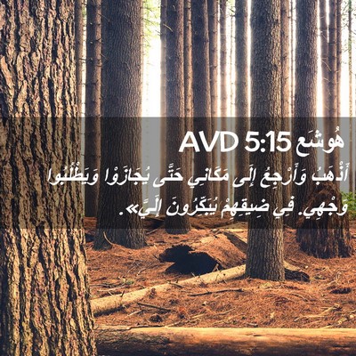 Picture 02 - هُوشَع 5:15 AVD - أَذْهَبُ وَأَرْجِعُ إِلَى - Bible Verse Picture
