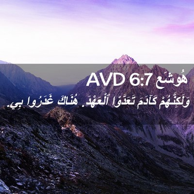 Picture 02 - هُوشَع 6:7 AVD - وَلَكِنَّهُمْ كَآدَمَ - Bible Verse Picture