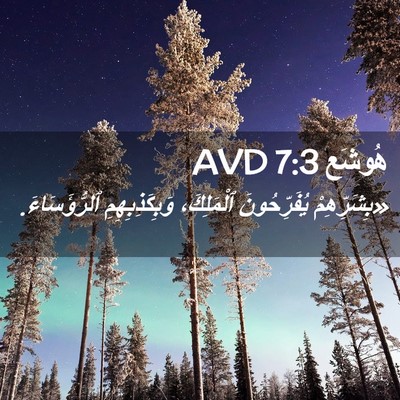 Picture 02 - هُوشَع 7:3 AVD - «بِشَرِّهِمْ يُفَرِّحُونَ - Bible Verse Picture