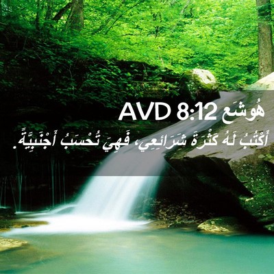 Picture 02 - هُوشَع 8:12 AVD - أَكْتُبُ لَهُ كَثْرَةَ - Bible Verse Picture