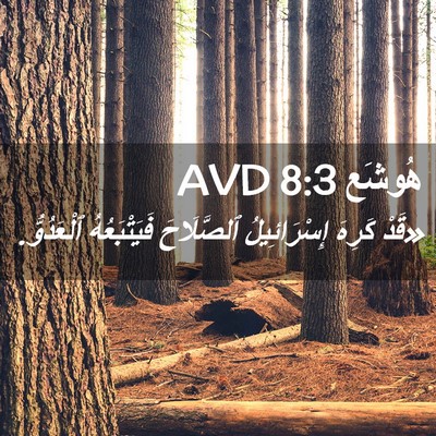 Picture 02 - هُوشَع 8:3 AVD - «قَدْ كَرِهَ إِسْرَائِيلُ - Bible Verse Picture