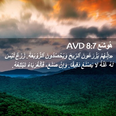 Picture 02 - هُوشَع 8:7 AVD - «إِنَّهُمْ يَزْرَعُونَ - Bible Verse Picture