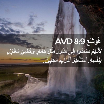 Picture 02 - هُوشَع 8:9 AVD - لِأَنَّهُمْ صَعِدُوا - Bible Verse Picture