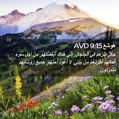 Picture 02 - هُوشَع 9:15 AVD - «كُلُّ شَرِّهِمْ فِي - Bible Verse Picture