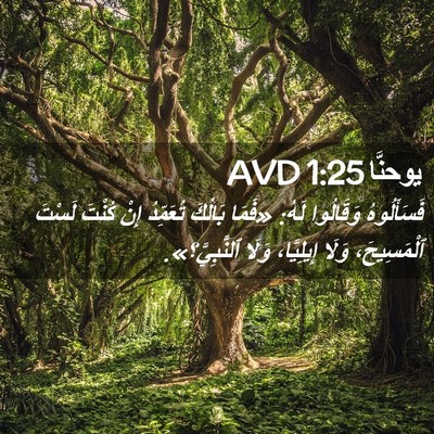 Picture 02 - يوحنَّا 1:25 AVD - فَسَأَلُوهُ وَقَالُوا - Bible Verse Picture
