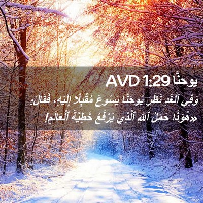 Picture 02 - يوحنَّا 1:29 AVD - وَفِي ٱلْغَدِ نَظَرَ - Bible Verse Picture