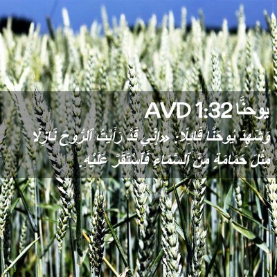 Picture 02 - يوحنَّا 1:32 AVD - وَشَهِدَ يُوحَنَّا - Bible Verse Picture