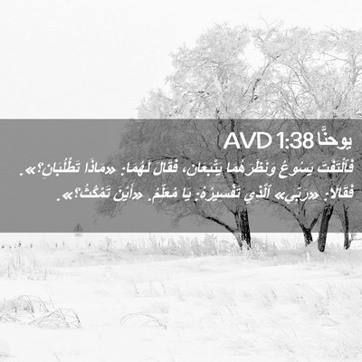 Picture 02 - يوحنَّا 1:38 AVD - فَٱلْتَفَتَ يَسُوعُ - Bible Verse Picture