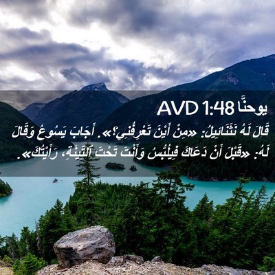Picture 02 - يوحنَّا 1:48 AVD - قَالَ لَهُ نَثَنَائِيلُ: - Bible Verse Picture