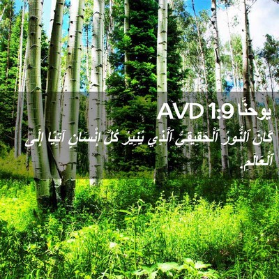 Picture 02 - يوحنَّا 1:9 AVD - كَانَ ٱلنُّورُ - Bible Verse Picture