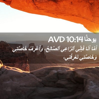Picture 02 - يوحنَّا 10:14 AVD - أَمَّا أَنَا فَإِنِّي - Bible Verse Picture