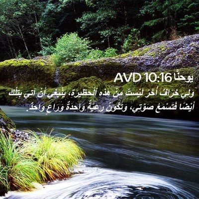 Picture 02 - يوحنَّا 10:16 AVD - وَلِي خِرَافٌ أُخَرُ - Bible Verse Picture
