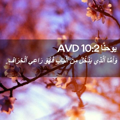 Picture 02 - يوحنَّا 10:2 AVD - وَأَمَّا ٱلَّذِي يَدْخُلُ - Bible Verse Picture