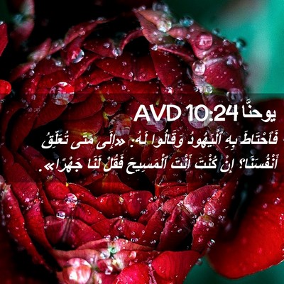 Picture 02 - يوحنَّا 10:24 AVD - فَٱحْتَاطَ بِهِ - Bible Verse Picture