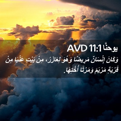 Picture 02 - يوحنَّا 11:1 AVD - وَكَانَ إِنْسَانٌ - Bible Verse Picture