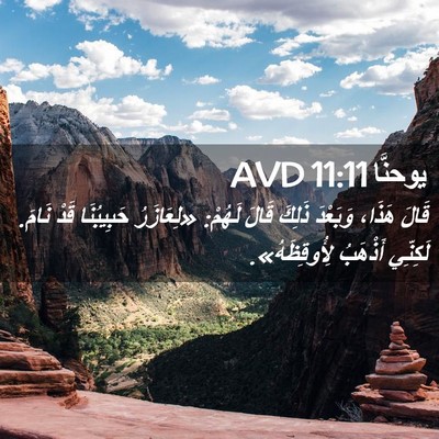 Picture 02 - يوحنَّا 11:11 AVD - قَالَ هَذَا، وَبَعْدَ - Bible Verse Picture