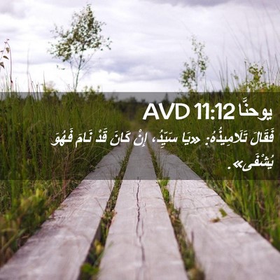Picture 02 - يوحنَّا 11:12 AVD - فَقَالَ تَلَامِيذُهُ: «يَا - Bible Verse Picture