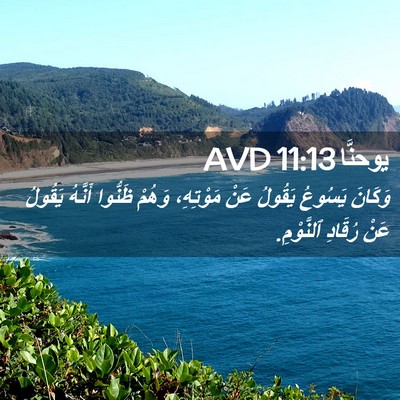 Picture 02 - يوحنَّا 11:13 AVD - وَكَانَ يَسُوعُ يَقُولُ - Bible Verse Picture