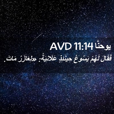 Picture 02 - يوحنَّا 11:14 AVD - فَقَالَ لَهُمْ يَسُوعُ - Bible Verse Picture