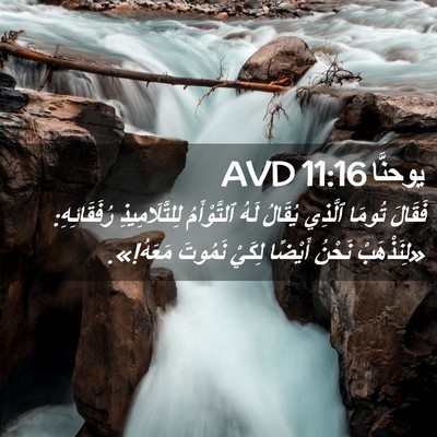 Picture 02 - يوحنَّا 11:16 AVD - فَقَالَ تُومَا ٱلَّذِي - Bible Verse Picture