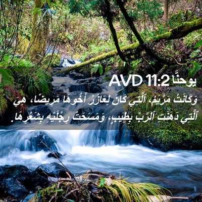 Picture 02 - يوحنَّا 11:2 AVD - وَكَانَتْ مَرْيَمُ، - Bible Verse Picture