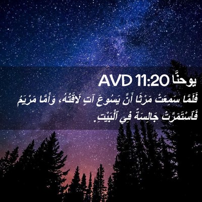 Picture 02 - يوحنَّا 11:20 AVD - فَلَمَّا سَمِعَتْ مَرْثَا - Bible Verse Picture