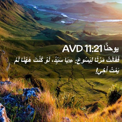 Picture 02 - يوحنَّا 11:21 AVD - فَقَالَتْ مَرْثَا - Bible Verse Picture