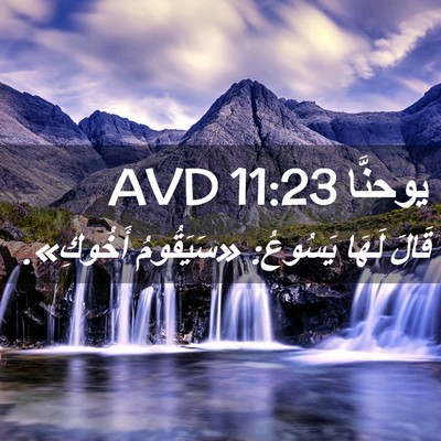 Picture 02 - يوحنَّا 11:23 AVD - قَالَ لَهَا يَسُوعُ: - Bible Verse Picture