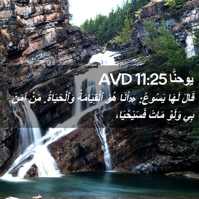 Picture 02 - يوحنَّا 11:25 AVD - قَالَ لَهَا يَسُوعُ: - Bible Verse Picture