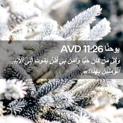 Picture 02 - يوحنَّا 11:26 AVD - وَكُلُّ مَنْ كَانَ حَيًّا - Bible Verse Picture