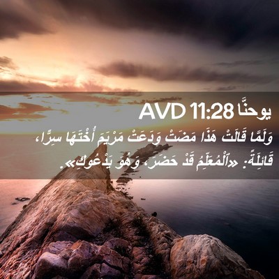 Picture 02 - يوحنَّا 11:28 AVD - وَلَمَّا قَالَتْ هَذَا - Bible Verse Picture