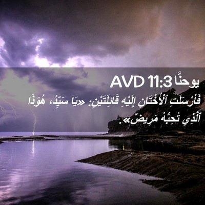 Picture 02 - يوحنَّا 11:3 AVD - فَأَرْسَلَتِ ٱلْأُخْتَانِ - Bible Verse Picture