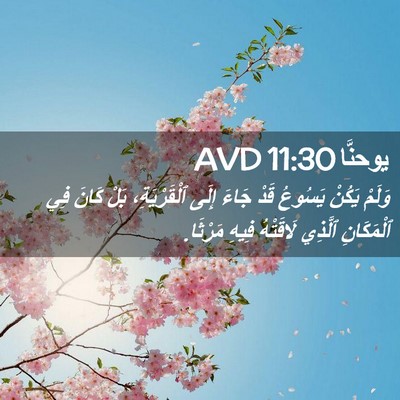 Picture 02 - يوحنَّا 11:30 AVD - وَلَمْ يَكُنْ يَسُوعُ قَدْ - Bible Verse Picture